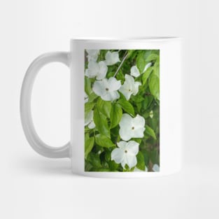 White Dogwood Flowers. Mug